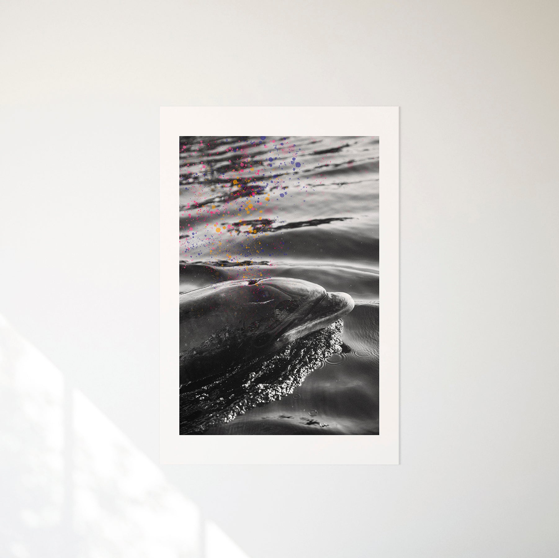 The West Series || Fungie - BlankSlate Shop
